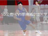 SD公鹿FCVS新南威爾士大學(xué)