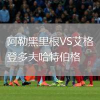 阿勒黑里根VS艾格登多夫哈特伯格