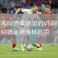 南阿德萊德黑豹VS阿德萊德奧林匹克