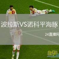波拉斯VS諾科平海豚