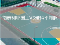 南泰利耶國王VS諾科平海豚
