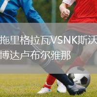 拖里格拉瓦VSNK斯沃博達(dá)盧布爾雅那