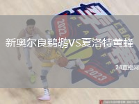 新奧爾良鵜鶘VS夏洛特黃蜂