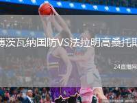 博茨瓦納國防VS法拉明高桑托斯