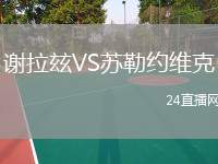 謝拉玆VS蘇勒約維克