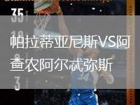 帕拉蒂亞尼斯VS阿查農(nóng)阿爾忒彌斯