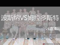 波斯納VS姆拉多斯特