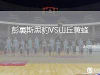 彭裏斯黑豹VS山丘黃蜂