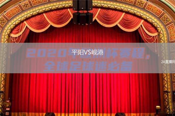 平陽VS峴港