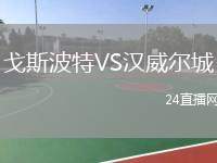 戈斯波特VS漢威爾城