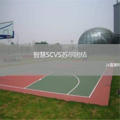 智慧SCVS蘇爾團結