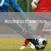 黑白埃森VSTSV梅爾布施