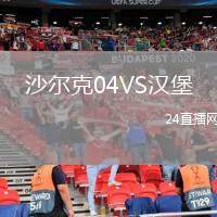 沙爾克04VS漢堡