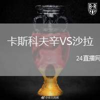 卡斯科夫辛VS沙拉