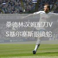 桑德林漢姆軍刀VS基爾塞斯眼鏡蛇