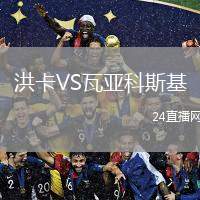 洪卡VS瓦亞科斯基