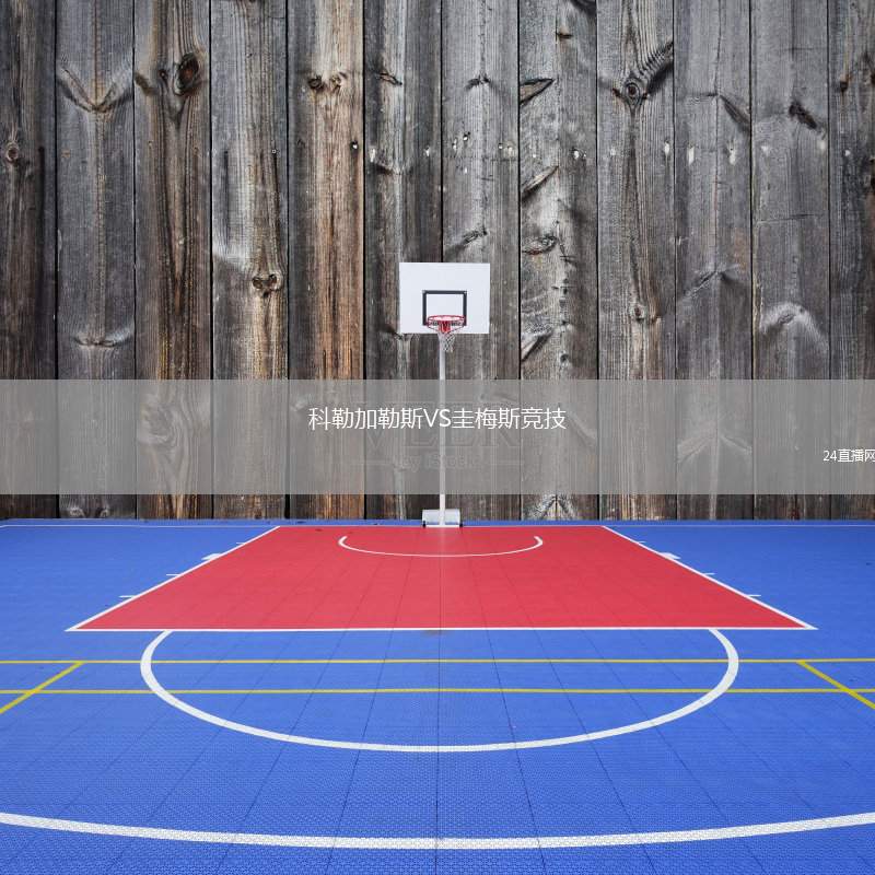 科勒加勒斯VS圭梅斯競(jìng)技