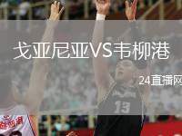 戈亞尼亞VS韋柳港