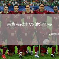 查查克戰(zhàn)士VS維爾沙克