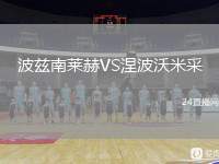 波茲南萊赫VS涅波沃米采