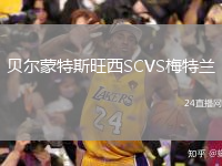 貝爾蒙特斯旺西SCVS梅特蘭