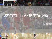 波特諾山丘VS帕爾梅拉斯