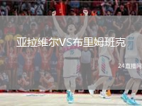 亞拉維爾VS布里姆班克