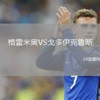 格雷米奧VS戈多伊克魯斯