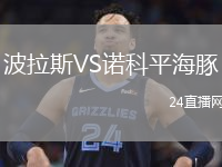波拉斯VS諾科平海豚