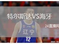 特爾斯達VS海牙