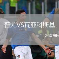 普尤VS瓦亞科斯基