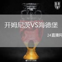 開姆尼茨VS海德堡