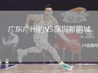 廣東廣州豹VS深圳新鵬城