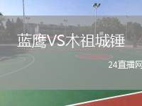 藍(lán)鷹VS木祖城錘
