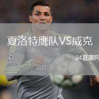 夏洛特鷹隊VS威克