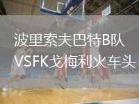 波里索夫巴特B隊VSFK戈梅利火車頭