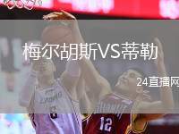 梅爾胡斯VS蒂勒