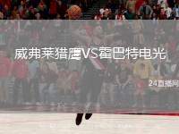 威弗萊獵鷹VS霍巴特電光