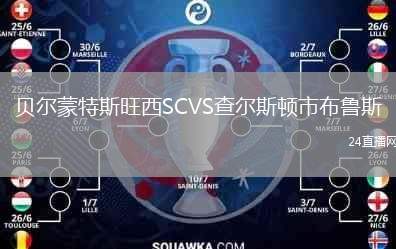 貝爾蒙特斯旺西SCVS查爾斯頓市布魯斯