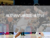維羅納VS維圖斯維羅納