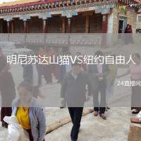 明尼蘇達山貓VS紐約自由人