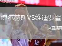 博爾赫斯VS維迪羅霍