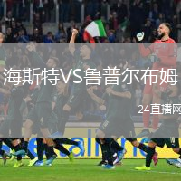海斯特VS魯普爾布姆