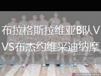 布拉格斯拉維亞B隊VS布杰約維采迪納摩
