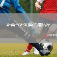 斯莫根VS明斯克迪納摩
