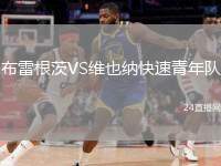 布雷根茨VS維也納快速青年隊