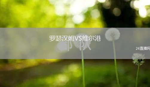 羅瑟漢姆VS維爾港